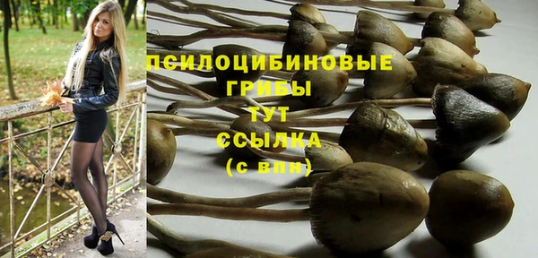 скорость Балахна